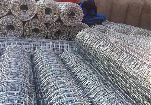 经纬网卷图片