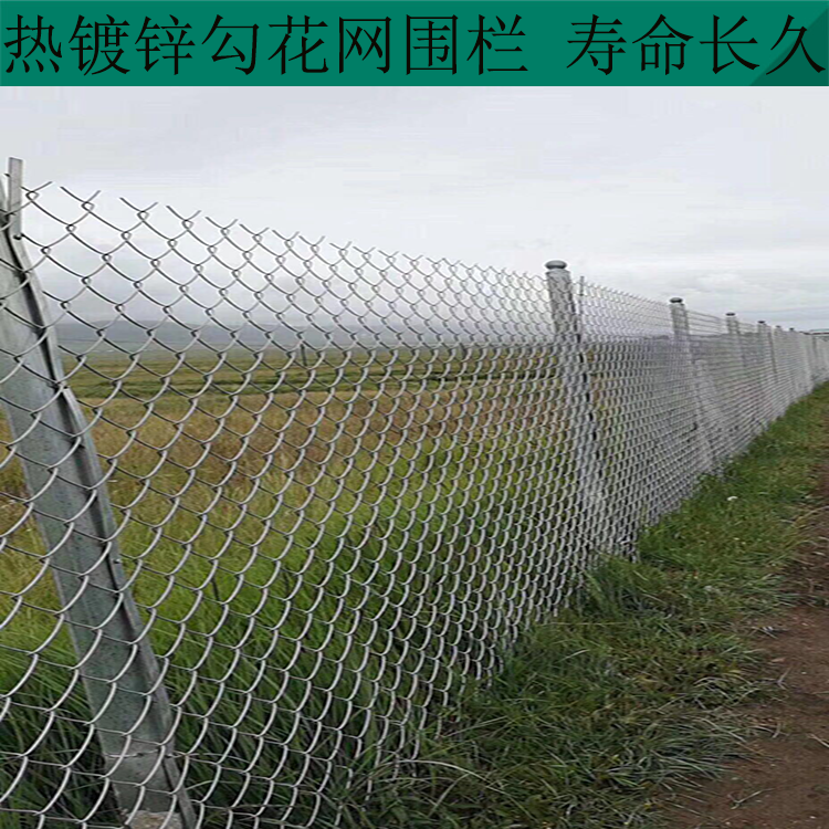勾花网隔离网图片